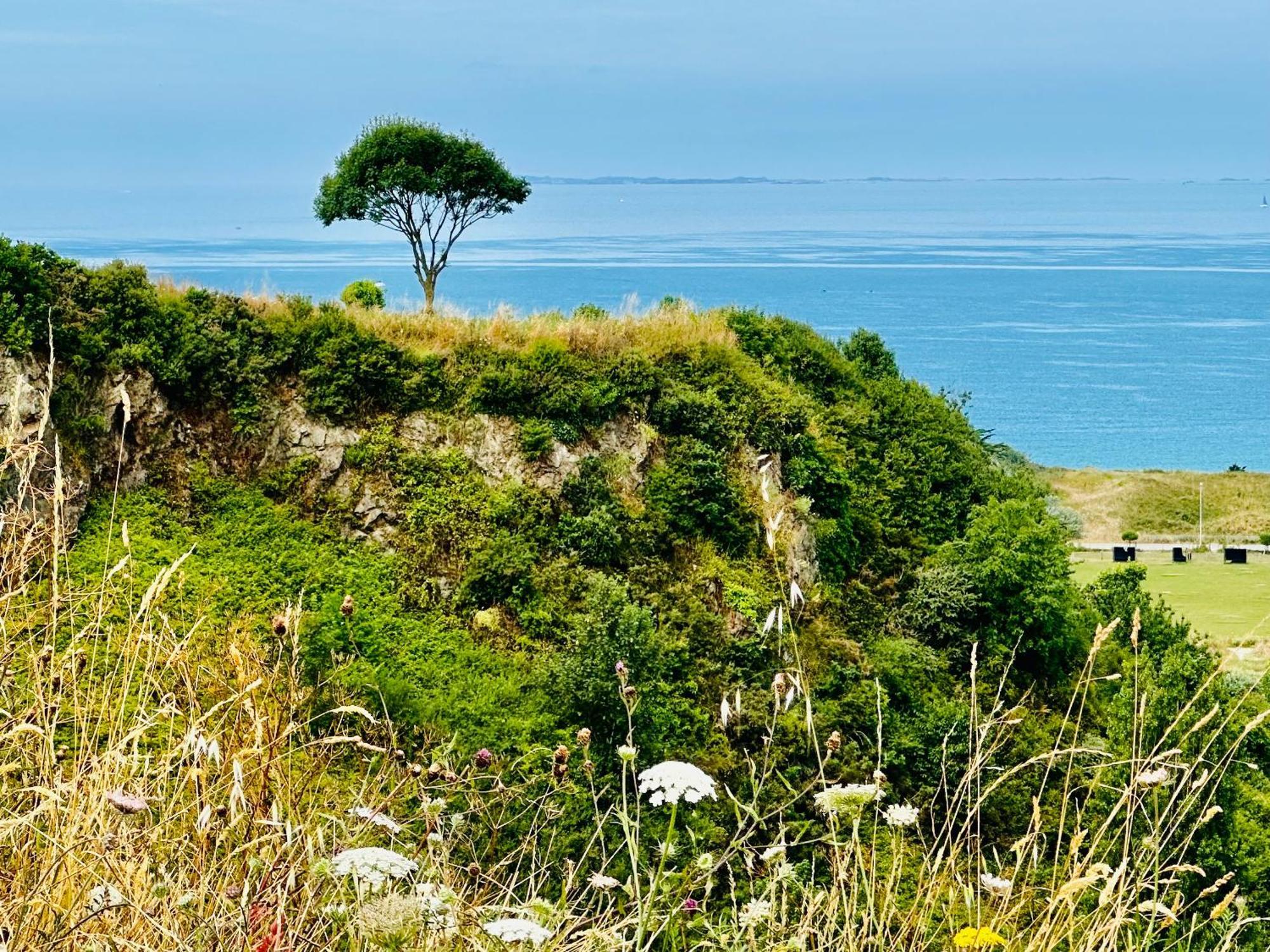 Le Refuge De Lalbatros Vert Donville-les-Bains Esterno foto